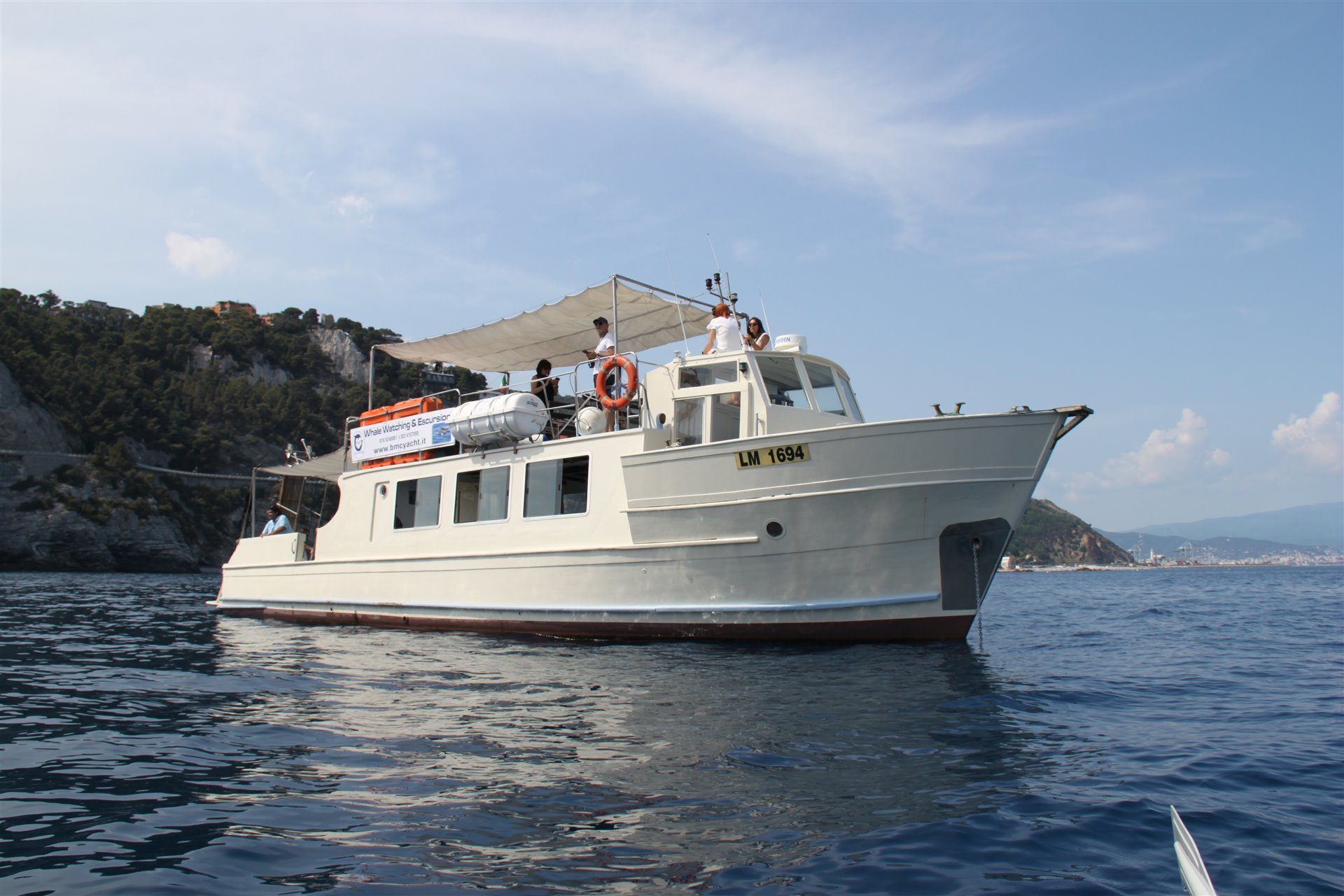 Whale Watching M/N DELFINO