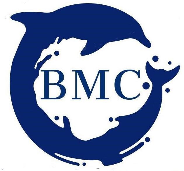 BMC SEA